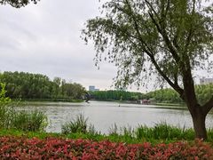 -昆山城市生态森林公园