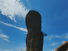 -磬锤峰森林公园