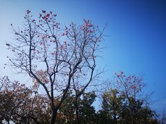 -青州市云门山风景区