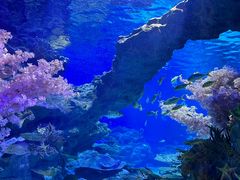 -海合安武汉极地海洋公园