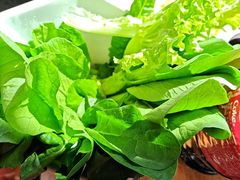 -草原塞蛮羊火锅城(港湾店)