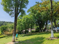 -铁山坪森林公园