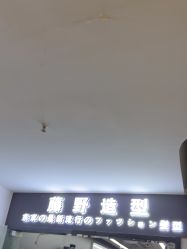 -藤野造型