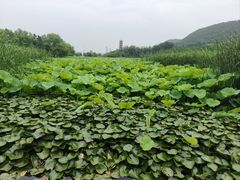 -云龙湖旅游景区