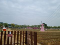-盈香心动乐园