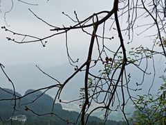 -窦圌山风景区