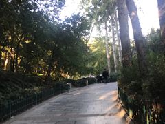 -西安市长乐公园