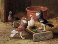 -八哥美术·成人美术画室(总校区)