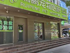 -瑞鹏宠物医院·骨外科·心肾科·肿瘤科(九亭店)