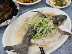 姜葱蒸水库瘦身鲩鱼-粤·向群饭店(龙津东路总店)