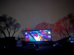 -枫花园汽车电影院(朝阳公园店)