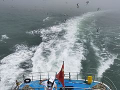-海驴岛(荣成市)