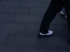 -中国大熊猫保护研究中心雅安碧峰峡基地