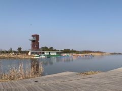 -春花秋色城市公园