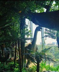 -恐龙探索乐园(磁器口店)