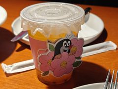 -布拉格餐厅· 中欧捷克菜(全国首店)