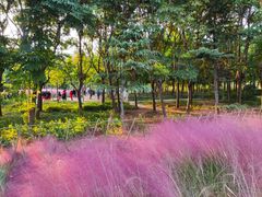 -云龙湖旅游景区