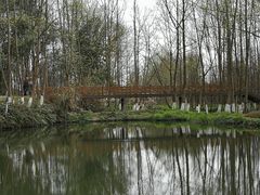 -桤木河湿地公园