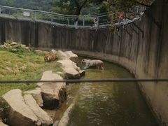 -无锡动物园·太湖欢乐园