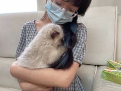 -lincat·猫舍(广州店)