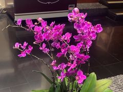 -黔蘑菇四季餐厅(观山湖店)