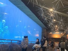 -华夏文旅海洋公园