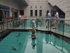 -陕西自然博物馆