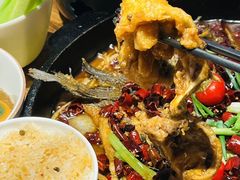 -老板恋上鱼(恒隆广场店)