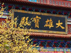-章华寺