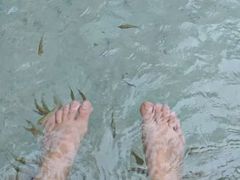 -碧水湾温泉