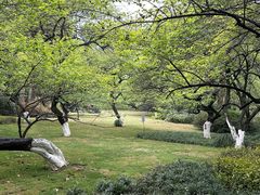-杭州植物园