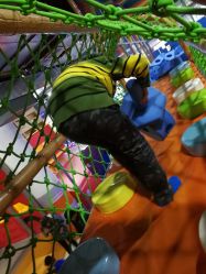 -六月巴士童乐园(抚顺罕王商场店)