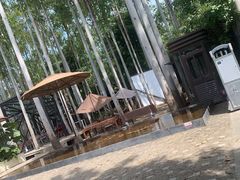 -桉树林A coffee 森林餐厅(三圣乡店)