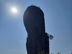 -磬锤峰森林公园