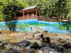 -广州白江湖森林公园