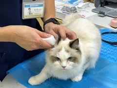 -美联众合动物医院·24h京西诊疗中心