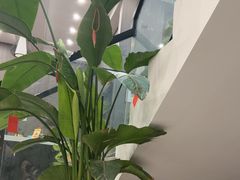 -红星国际广场