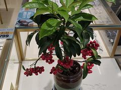 -精益眼镜(广埠屯店)