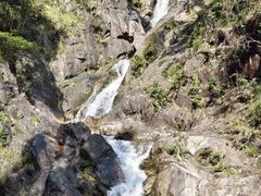 -九龙江国家森林公园