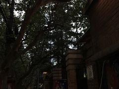 -Boxing Cat Brewery拳击猫精酿啤酒馆(永福店)