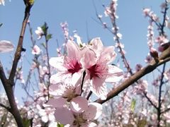 -天鹅湖体育公园
