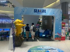 -暹罗海洋世界