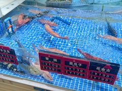 -皮记海鲜1995(寮步店)