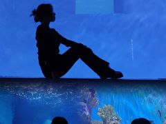 -多彩贵州城极地海洋世界