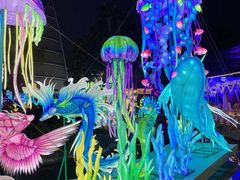 -海合安武汉极地海洋公园