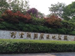 -重庆彩云湖湿地公园
