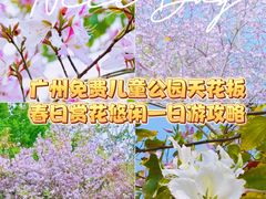 -海珠儿童公园
