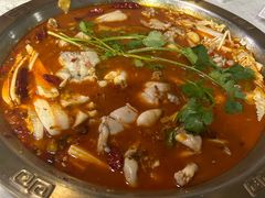 -重庆火锅水库鱼庄(南油店)