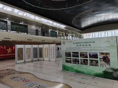 -深圳少年儿童图书馆