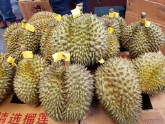 -双福水果批发市场